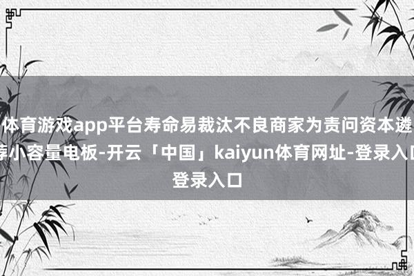 体育游戏app平台寿命易裁汰不良商家为责问资本遴荐小容量电板-开云「中国」kaiyun体育网址-登录入口